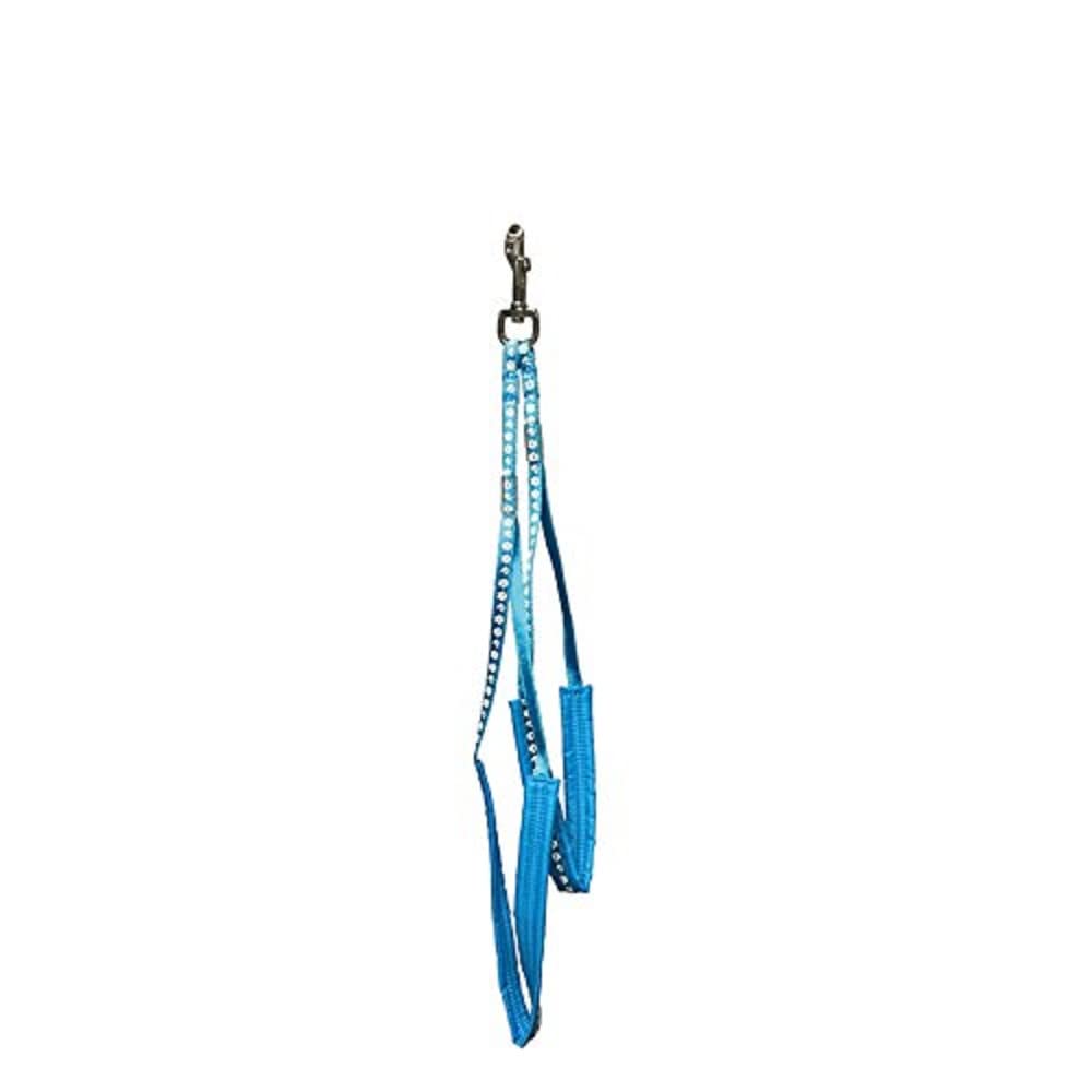 GROOM PROFESSIONAL Complete Body Restraint with Padding - Grooming Loop Leash for Dogs - Paw Print Design - Perfect for Controlling Pets - Helps Control the Head & Body, Cyan Blue