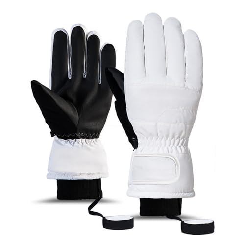 YƃfB[X̃XL[O[uA̖hEhTCNOO[uAAEghAX|[c^b`XN[5{wVO{[hO[uA5{wzCgAL