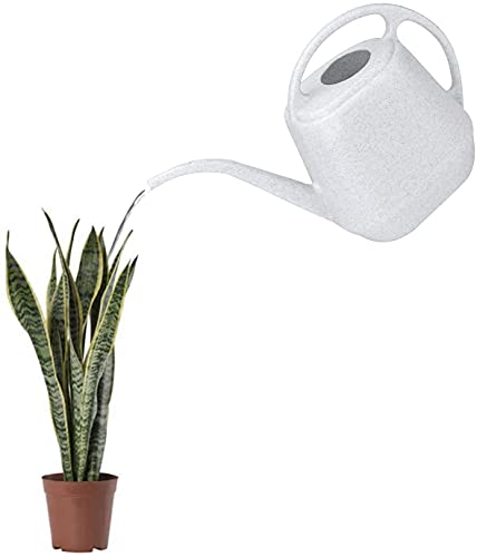 Fasmov Plastic Watering Can, 1-Gallon #TOP3