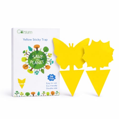 Garsum Fruit Fly Sticky Trap for Indoor and Outdoor, 36 Pack Fungus Gnat Killer for Houseplant,Mosquitos, Flying Insect, White Flies