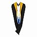 Gradwow Master Graduation Gown Cap Hood Set, Unisex Matte Master's Degree Regalia with Tassel for University (Gold/Royal Blue/Gold, 45)