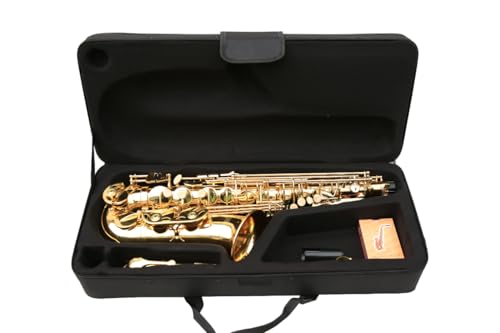 Kit Saxofone Alto Eb Laqueado Estojo Case Luxo Kit Acessórios