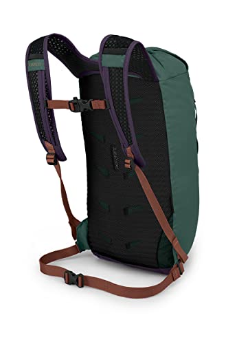 Image of Osprey Daylite Cinch Backpack, Axo Green /Enchantment Purple