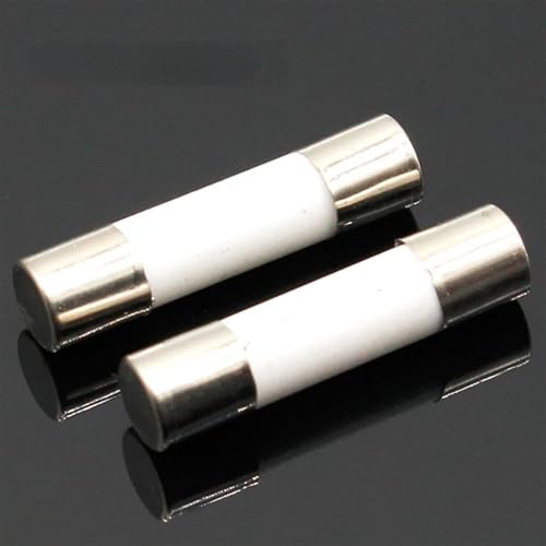 Fusibles en céramique 5x20mm T2A à action retardée pour protection circuit