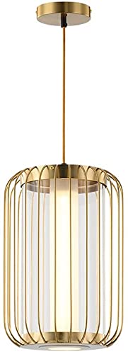 Suspension cage à oiseau en fer forgé luminaire design haut de gamme