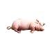 Imagen de 2026 Peluche de hámster para