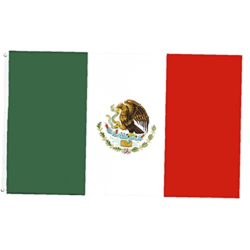 LVR N₩ȐF X|[c ϐ  90*150cm |GXe100n 3 X 5tB[g