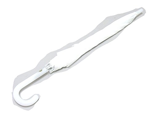 武田コーポレーション EVA傘 ホワイト EVG-52WH