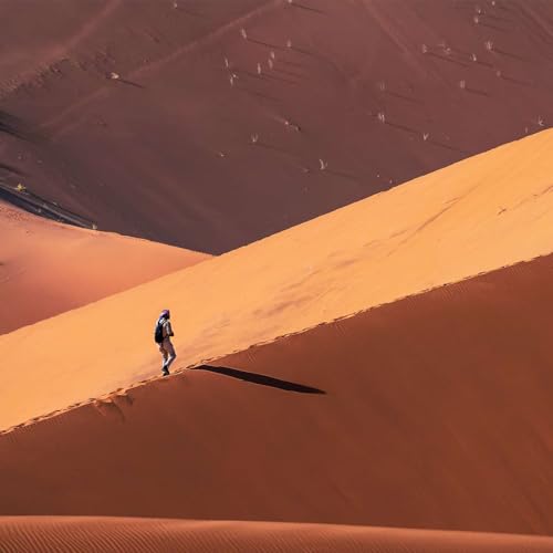 Are You Wandering? cover art