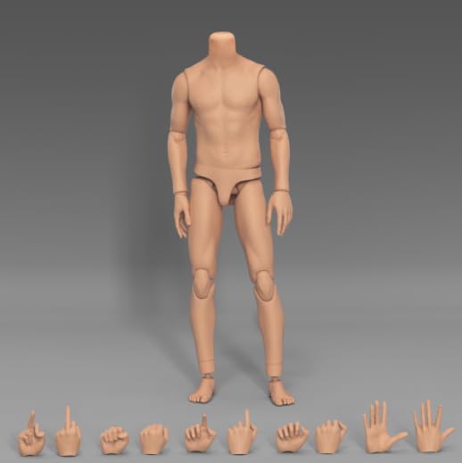 Amazon | [AC]MAHA studio模核 1/6 男性 筋肉質体型 可動