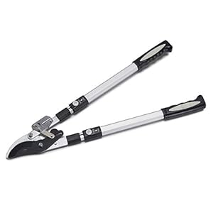 Kings County Tools Bypass-Astschere mit Doppelratschen
