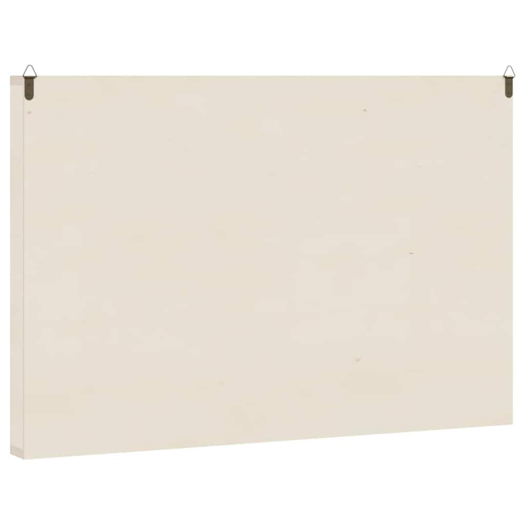vidaXL Vetrina da Collezione in Legno con 60 Scomparti 60x4,5x40,5cm