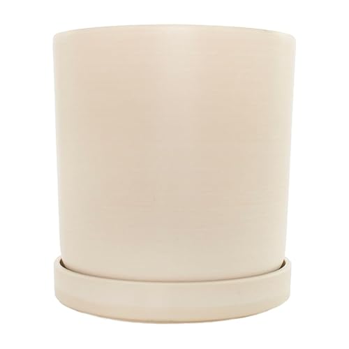 National Plant Network Classic 7" Cream Upcycled Planter Pot -