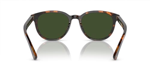 Brooks Brothers Mens BB5050u Universal Fit Round Sunglasses4