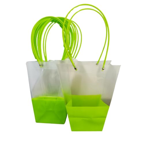 Image of OasisTransparent Gift Bag 10pcs, Foldable, Empty, Decorative, Reusable, 30x35 cm, Multipurpose Birthday, Anniversary, Wedding, Return Gifts Hamper Packaging (Dual Green)