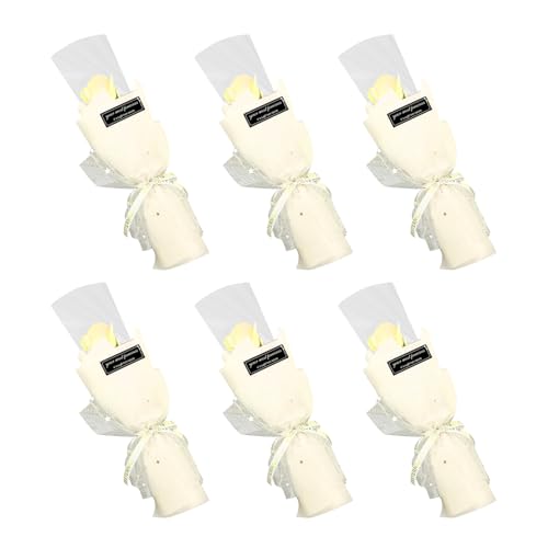 DIFEIUKI \[vt[ 1 o  6{Zbg ͂Ȃ [Y ʕ Ό o^C ̓ a ސE Mtg hV̓ Ǝ w p[eB[ v`Mtg ʕς 32.5cm/{