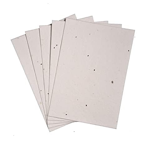Basil Se ed Paper Sheets Postcard Size 6 x 4 Inch Plantable Seed Paper for DIY Crafts Pack Of 20-image-30