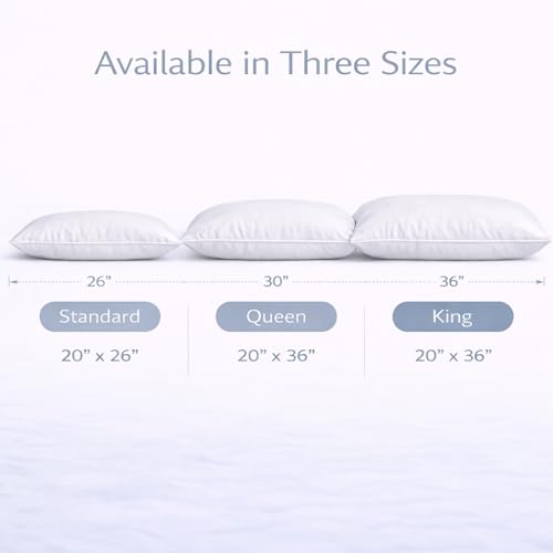 Continental Bedding Harmony White Goose Down Pillow 550 Fill Power Soft Loft 100% Cotton 300 Thread Count Shell Standard Size 1 Pack Made in USA