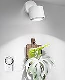 Barrina TR40a Track Grow Light for Indoor Plants, 40W Wall-Mounted Grow Bulbs with Adjustable Beam Angle (15°-60°), 5000K Full Spectrum Plant Spotlight with Timer & 16.4' Power Cord, 1-Pack