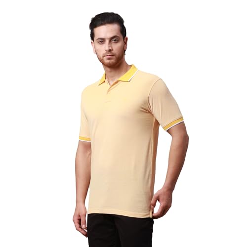 Image of Park Avenue Men's Cotton Polyester Blend Stripe Pattern Slim Fit Rib Collar Polo Neck Half Sleeve Casual T-Shirt