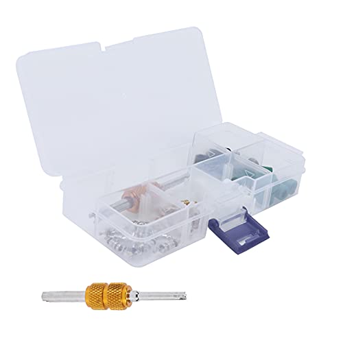 Dilwe Kit 51 Piezas Herramientas para Reparación de Válvulas