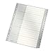 Produktbild Leitz Register für A4, Kartondeckblatt und 20 Kunststofftrenner, Register mit alphabetischem Aufdruck AZ, Überbreite, grau, 12600000