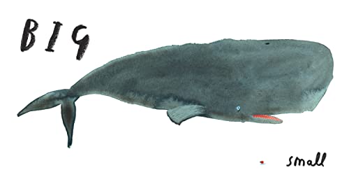 Book of Opposites: From the creator of the #1 bestselling Here We Are