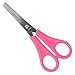 Produktbild Westcott Kinderschere Pink Rechtshänder | Schere mit integrierter 5 cm Skala | Bastelschere 13 cm (5") ideal für Kinderhände | Sicherheit durch abgerundete Spitze | E-21591 00