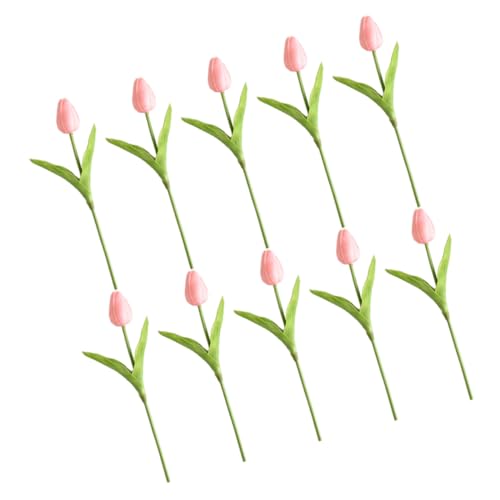 SKISUNO lH`[bv 10{Zbg tFCN`[bv  CeA EFfBO z[p[eB[pԑ