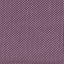 Misty Purple