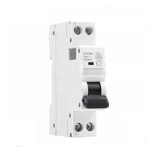 Disjoncteur DPN 6KA Courbe B protégeant contre la surcharge 220V