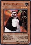 �ե���ѥ�� ��N�� EE1-JP183-N [ͷ����������]�ԥ������ѡ��ȥ��ǥ������1��