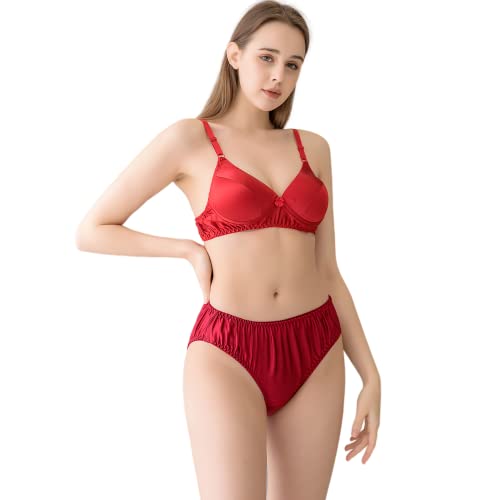 Roseward 100% Mulberry Silk Panties For Women 22 Momme Pure Organic Silk Underwear Bikini Panties Real Organic Silk Brief Undies-Xl #TOP3