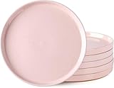 AmorArc Ceramic Dinner Plates Set of 6, 10.25 Inch Stoneware Plates for Kitchen,Modern Flat Dinnerware Dishes Set,Microwave& Dishwasher Safe, Scratch Resistant-Pink