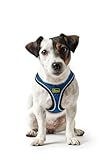 HUNTER Hundegeschirr HILO COMFORT, Farbe: blau, Easy Step-In Geschirr für kleine bis mittlere Hunde, mit Netzmaterial, reflektierende Elemente, angenehm leicht, modernes Design Größe: XS-S