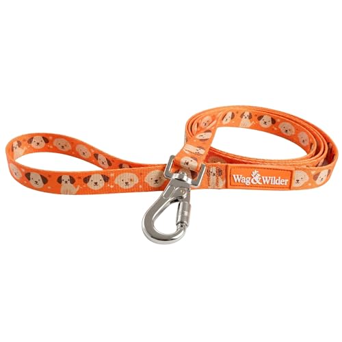 Image of Wag and Wilder Heavy Duty 5 FT Dog Leash for Medium Dogs - Neoprene Padded Handle & Strong Metal Hook (Puppy Parade Orange)