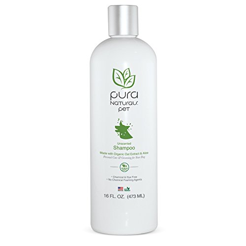 Pura Naturals Pet Organic Nourishing Unscented Oatmeal And Aloe Shampoo 16Oz Made With Organic Oils-Chemical Free And Safe For Your Dog's Coat-Relieves Itching Ecofriendly Human Safe Made In The Usa #TOP1