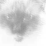 Nut pt. 2 [Explicit]