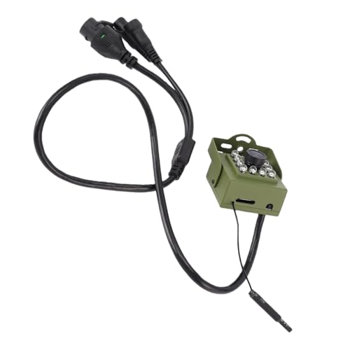 Caméra de Surveillance de la Faune, Caméra de sécurité Intérieure et Extérieure, Caméra de Vision Nocturne pour Nichoir, Caméra Grand Angle WiFi 2,4 GHz avec 10 LED, pour