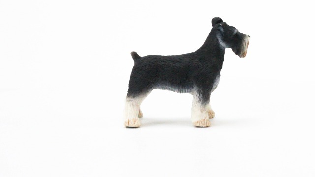 SafariZektor3身長153-163cm 定価9.9万円 Amazon.com: Safari Ltd. Schnauzer Figurine - Detailed 3