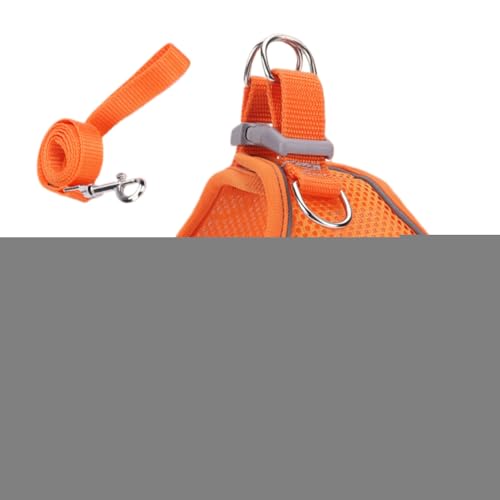 Nuhjytgf Lbgn[lX | \ Up Lp n[lX | ^^^ybgp s AEghA nCLO