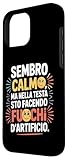 Zoom IMG-1 sembro calmo ma nella testa