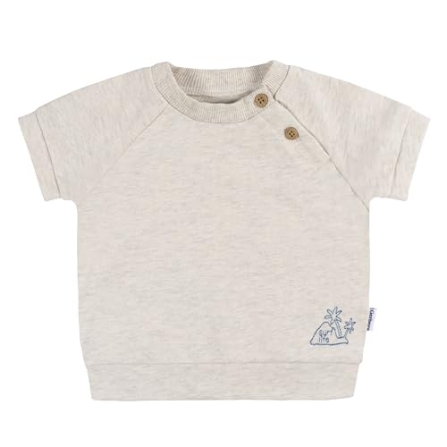 Image of Gerber Baby Boys' Toddler T-shirt and Short Set