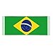 GDUUASB Cute Brazil Flag Scarf Shawls For Women Winter Warm Fashion Scarves Large Brazilian Patriotic Shawls and Wraps
