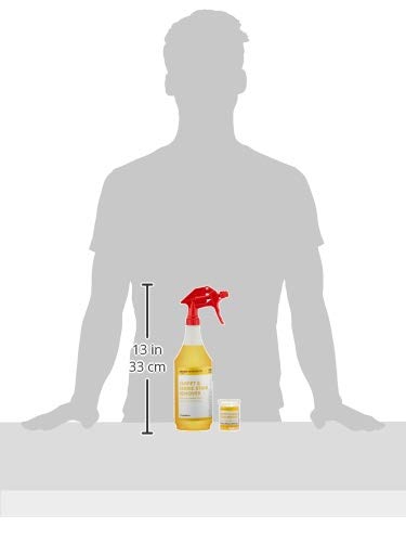 AmazonCommercial Dissolvable Carpet Fabric Stain Remover Kit with 3 Refill Pacs