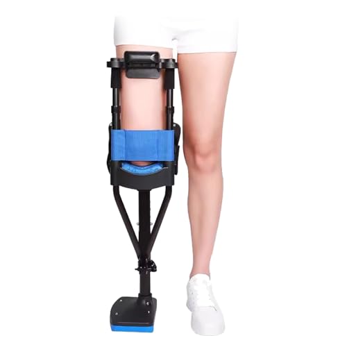 �r�L�k�����s��G�p���t��A�ɂ݂̂Ȃ��G�p���t��A����̍��܁A�P���A�ӂ���͂��A����̉���Ɋ���~��(Left)