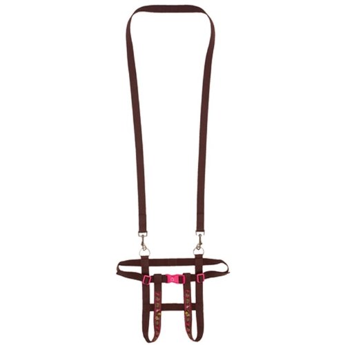 Preisvergleich Produktbild Pferdeleine Pferdefreunde