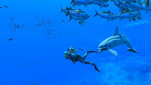 Endless Ocean: Luminous (EU Import) - Image 6