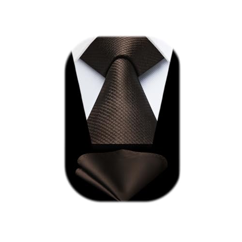 HISDERN Brown Ties for Men Classic Business Mens Tie and Pocket Square Set Necktie Elegant Wedding Party
