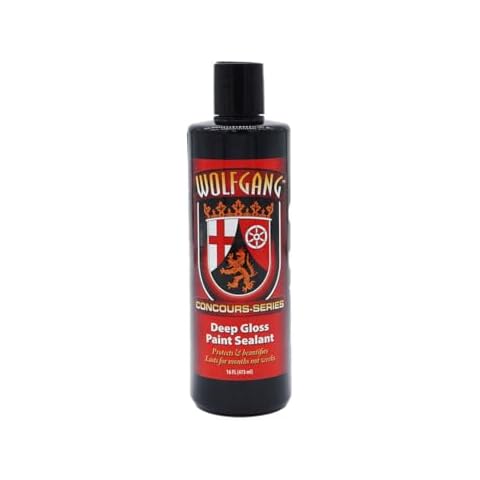 Wolfgang Deep Gloss Paint Sealant 16 fl oz – Intense Gloss & Durable Protection – Easy to Apply – Hydrophobic, Long Lasting (WG-5500) Cover